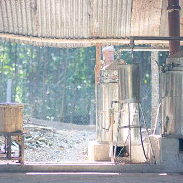 photo of the factory